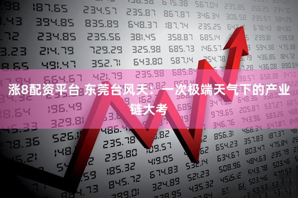 涨8配资平台 东莞台风天：一次极端天气下的产业链大考
