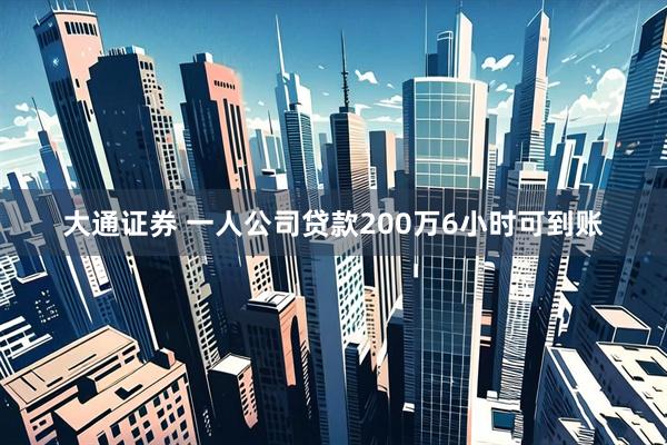大通证券 一人公司贷款200万6小时可到账