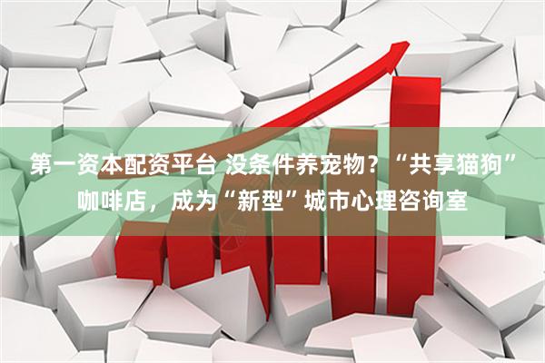 第一资本配资平台 没条件养宠物？“共享猫狗”咖啡店，成为“新型”城市心理咨询室