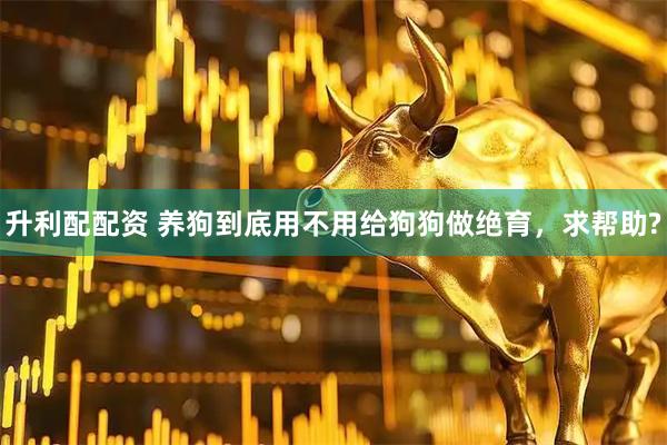 升利配配资 养狗到底用不用给狗狗做绝育，求帮助?
