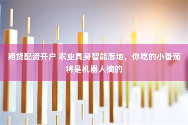 期货配资开户 农业具身智能落地，你吃的小番茄将是机器人摘的