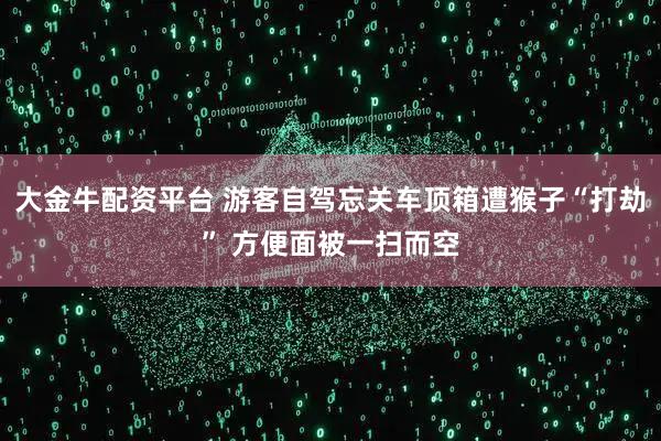 大金牛配资平台 游客自驾忘关车顶箱遭猴子“打劫” 方便面被一扫而空