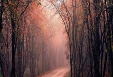 线上股票配资平台:股票融资与债券融资的区别-胡歌来了！“宝总”喊话股民！