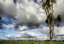 股票杠杆利息:配资行情最新消-全球十大黄金生产商来了！有中国公司上榜